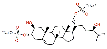 (24R)-Cholesta-5,25-dien-2b,3b,21,24-tetrol 3,21-disulfate
